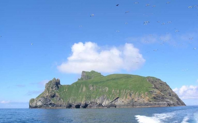  Kilda, Boreray 